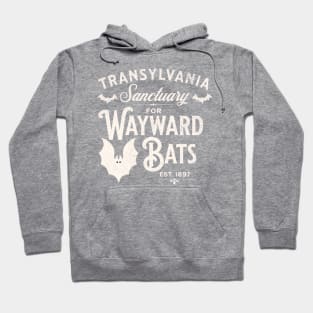 Transylvania Sanctuary for Wayward Bats Dark Hoodie